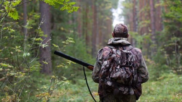 В Коми суд обязал охотников и рыболовов брать леса в аренду